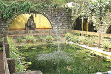Antipolo's enchanting garden spot
