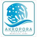 Akropora Resorts | Beach Wedding | Resort Wedding | Beach Wedding Reception Venues | Resort Wedding Reception Venues | Kasal.com - The Philippine Wedding Planning Guide