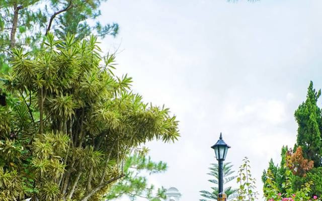 Exposure Photo & Video: Preserving Moments to Last a Lifetime