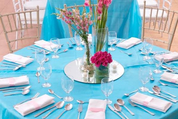 hizons blue and pink wedding