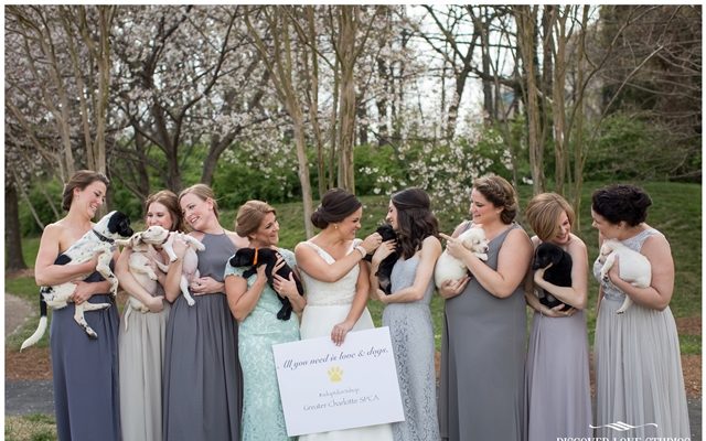meghan butler pup themed wedding photo