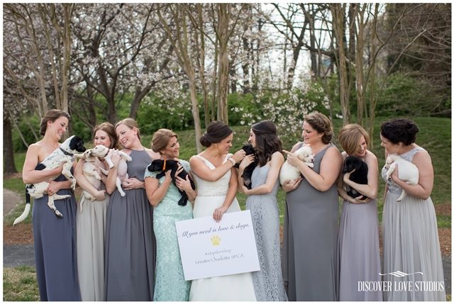 meghan butler pup themed wedding photo