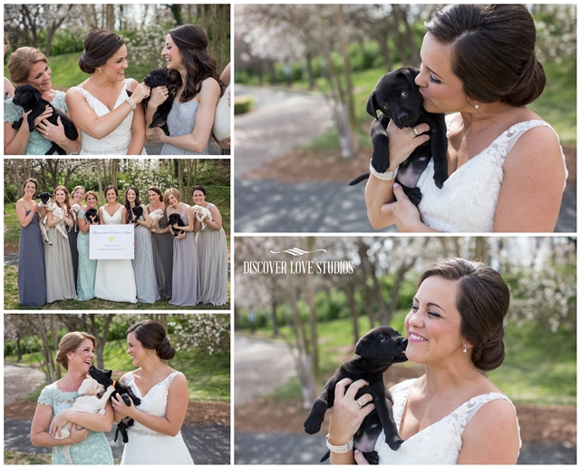 meghan butler pup themed wedding photo