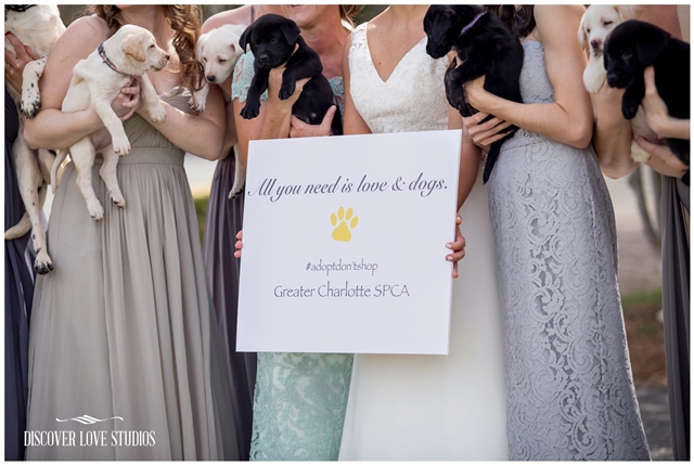 meghan butler pup themed wedding photos