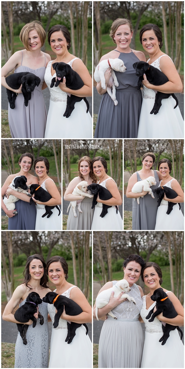 meghan butler pup themed wedding photo