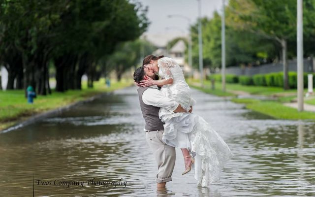 shelley holland viral wedding photo