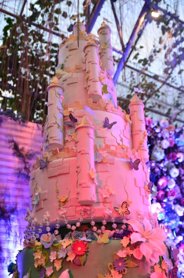 julia montes debut cake nice print