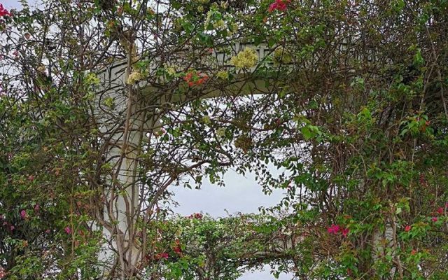 Ideas for Your Beach Prenup Shoot IG-worthy Prenup Shoot at Thunderbird Resort Poro Point in La Union