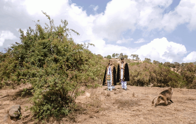 Introducing: Smart Shot Studio’s Motion Picture smart shot studio motion picture