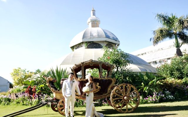 leonardo jacqueline white wedding