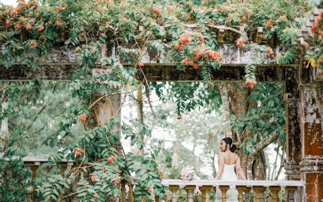 Hillcreek Gardens